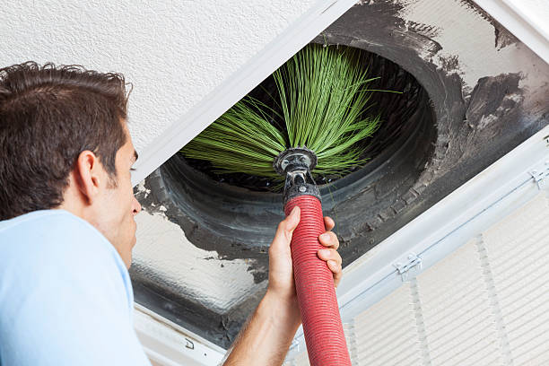 Best Affordable HVAC Duct Cleaning  in Lanai City, HI