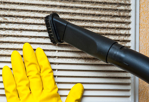 Best Affordable Air Duct Cleaning  in Lanai City, HI